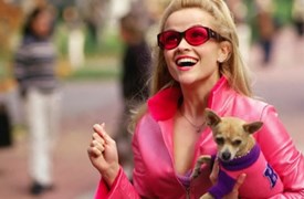 Legally Blonde still 1