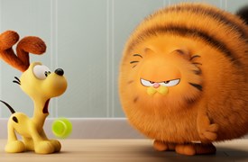 Garfield BD2
