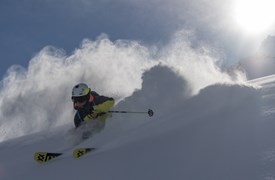 skier