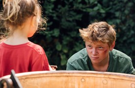 Hoy Cow still 1