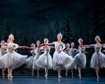nutcracker v