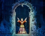 nutcracker vi
