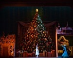 Nutcracker iii