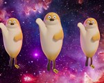 Sealook still 3