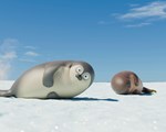 Sealook still 4