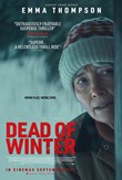 Dead of Winter poster