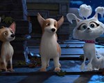 Dogs at the Opera still 1