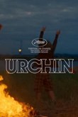 Urchin poster