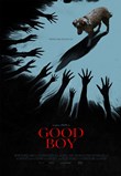 good boy poster
