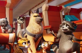 Pets on A Train BD