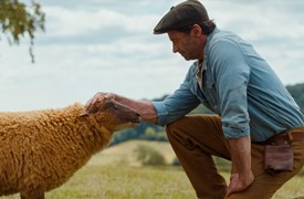 The Sheep Detectives - still 1