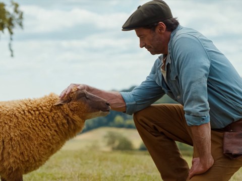 The Sheep Detectives - still 1