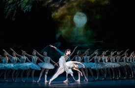 RBO Swan Lake 8