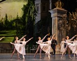 RBO Swan Lake 1
