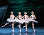 RBO Swan Lake 3