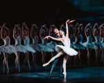 RBO Swan Lake 4