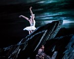 RBO Swan Lake 6
