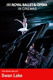 RBO Swan Lake poster