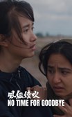 No Time For Goodbye poster