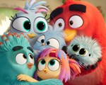 Angry Birds 3 still 1