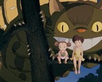 My Neighbour Totoro official still 2