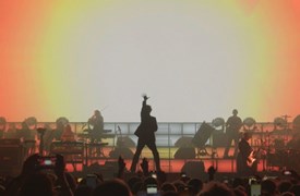 Pulp bd2