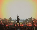 Pulp bd2