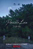 Possible Love poster