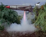 Thunderbirds Alligator still 2