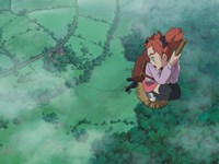 Mary and the Witch's Flower