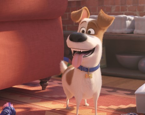 The Secret Life of Pets 2 Poster