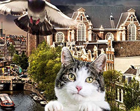 CFF: Wild Amsterdam Poster