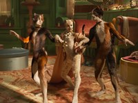 Cats