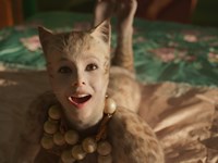 Cats