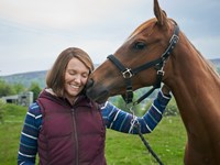 Dream Horse