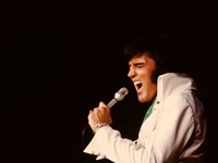 Elvis That's the Way it Is