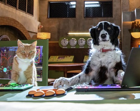 Cats & Dogs 3: Paws Unite Poster