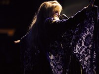 Stevie Nicks 24 Karat Gold The Concert
