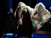 Stevie Nicks 24 Karat Gold The Concert