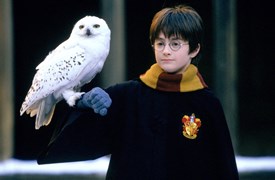 Harry Potter and the Philosopher's Stone